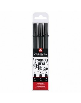 Set de 3 Feutres Pigma Micron Calligrapher - SAKURA