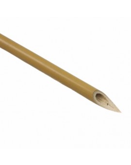 Bambou Calligraphie Taille Moyenne