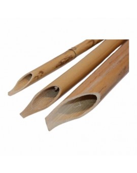 Bambou Calligraphie Taille Moyenne