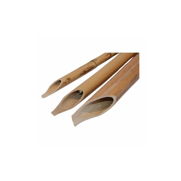 Bambou Calligraphie Taille Moyenne