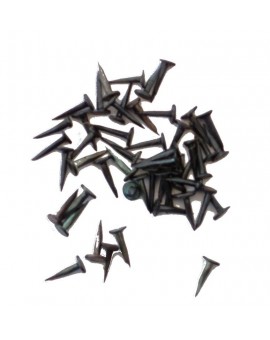 Pot de semences de tapissier 11mm