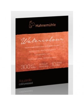 The Collection : Bloc Aquarelle 100 % coton - HAHNEMUHLE