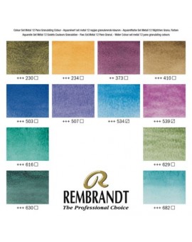 Rembrandt - Boîte métal 121/2 godets Aquarelle extra-fine granulation