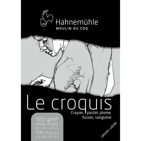 Bloc Le Croquis 120g Lisse 100F