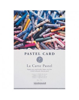 Bloc Pastel Card 12 Feuilles - Sennelier