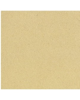 Pastel Card Pochette 6 Feuilles Jaune de Naples format 24 x 32 cm