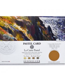 Pastel Card Pochette 6 feuilles assortiment \"Terres\" format 24 x 32