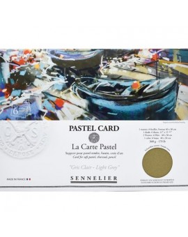 Pastel Card Pochette 6 feuilles assortiment \"Gris\" format 24 x 32